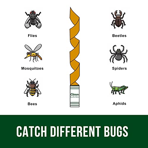 Garsum Fruit Fly Traps For Indoors/Outdoors, Fly Strips Indoor Sticky Hanging, Fly Paper Fly Tape, Fly Ribbon Fly Catcher For Inside Home 12 Traps #TOP4