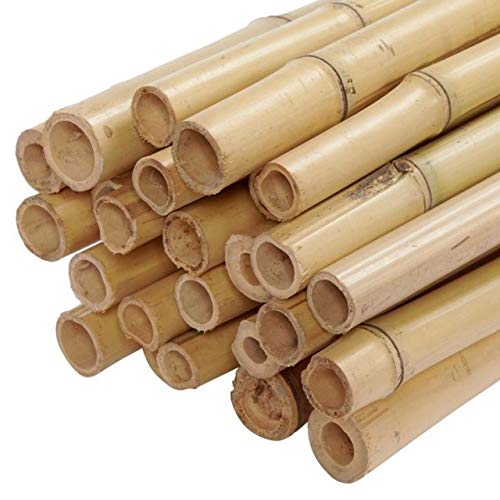 4ft (16-18mm Thick) Strong Heavy Duty Professional Bamboo Plant Support Bamboo Canes/stakes/pole (40)