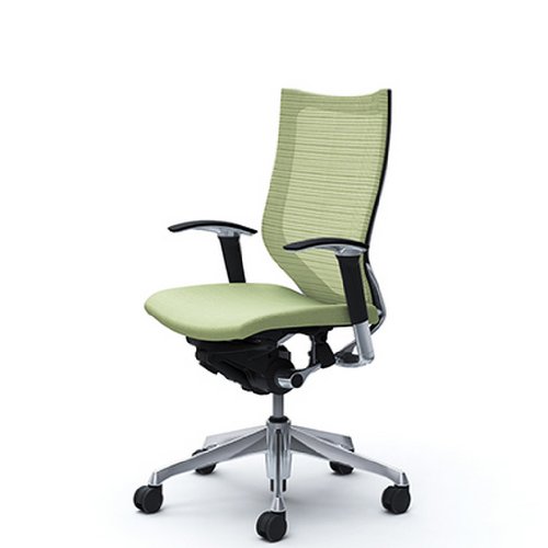 バロン (Baron) チェア 【ハイバック】 ポリッシュフレーム 可動肘 座クッション ピスタチオ CP85BR FEF6