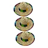 LOORGVEL 3個 メキシコ風可能ペット麦わら帽子 小型犬猫用夏用アクセサリー 写真撮影パーティー向け装飾帽