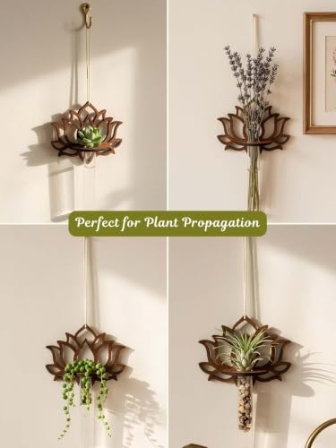 Image of Bombay Greens Hanging Lotus Planter with Wooden Holder & Rope | Test Tube Hanging Planter | Wooden Stand for Home Decor, Living Room, Balcony & Office Decoration - Lotus