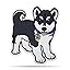 Washington Huskies Mascot
