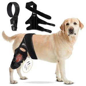 Dog Knee Brace for Torn ACL Hind Leg – Adjustable Dog Back Leg Support – Knee Brace for Dogs for Joint Pain Relief, Arthritis & Injury Recovery – Comfortable & Vet-Recommended (Large)