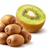 国産グリーンキウイ 約3kg 産地箱 20～27玉 大玉限定｜愛媛・熊本・和歌山・神奈川県産｜鮮やかな緑色の果肉と爽やかな甘み｜ジューシーで食べやすい定番フルーツ｜毎日の健康習慣に｜四季の広場厳選 Green Kiwifruit 国産緑奇異果｜家庭用・贈答用｜検品発送