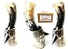 Viking Drinking Horn Mugs 10oz | Handmade Real Horn 9