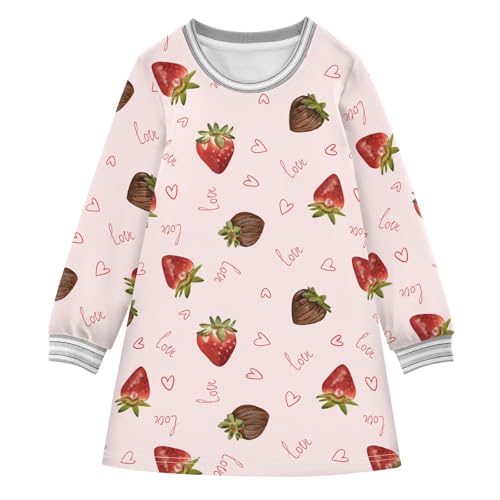 Berry Chocolate Girls Dresses Long Sleeve Sweatshirt Dress for Girls Winter Toddler Casual A Line Dresses Size 2-8T