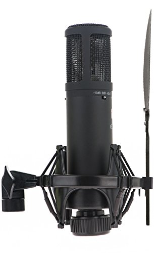Amazon.co.jp: sE Electronics sE2200aII コンデンサーマイク