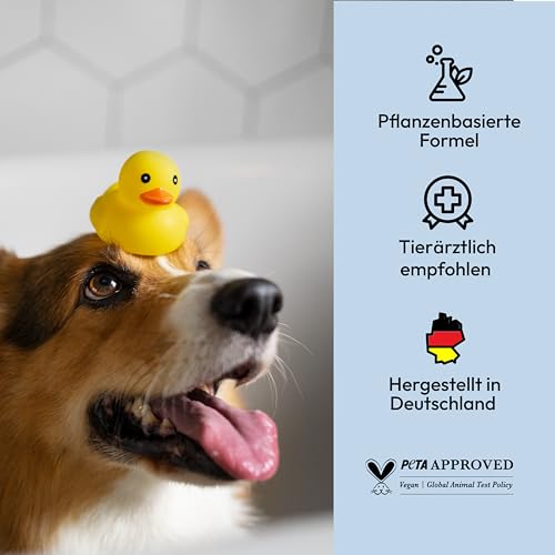 Belly Mittel gegen Juckreiz beim für Hund - 250ml - Hunde Pflege Spray pflegt die Haut bei Grasmilben Milben Reizungen Läusen und unterstützt den Regenerationsprozess Anti Juckreiz