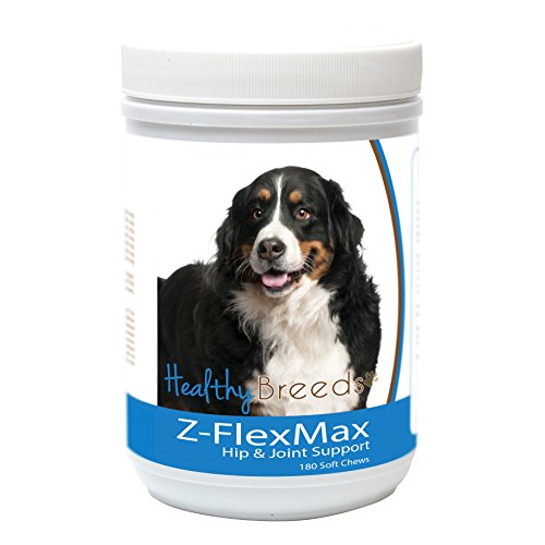 Healthy Breeds Bernese Mountain Dog Z-Flex Max Dog Hip and ...