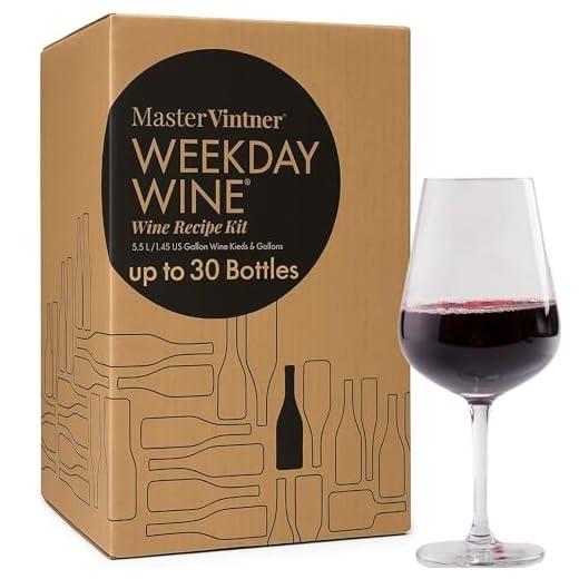 Beginner Merlot Wine Making Kit