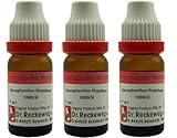 Dr. Reckeweg Strophanthus Hispidus Dilution 1000 CH (11ml) (Pack of 3)