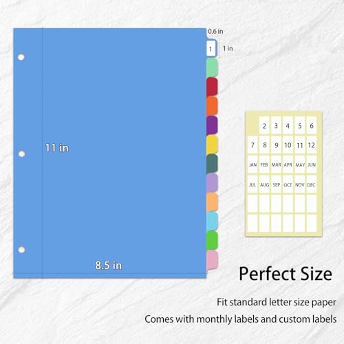 12-Tab Binder Dividers with Tabs for 3 Ring Binder, Write & Erase, Monthly Dividers for 8.5 x 11'' Letter Size Papers, Assorted Color, 1 Set image 2