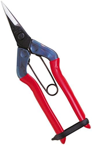 Closest Positive (chikamasa) 摘果 Scissor Throwing Straight Blade with Spring purasutexikkuko-texingu Under T – 500