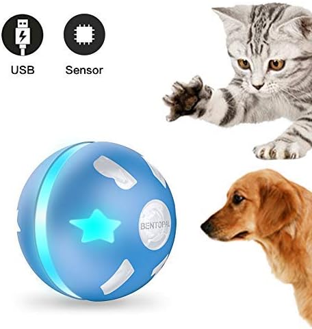 PetDroid Interactive Dog Ball Toys,Durable Motion Activated Automatic Rolling Ball Toys for Puppy/Small/Medium Dogs,USB Rechargeable (Blue)