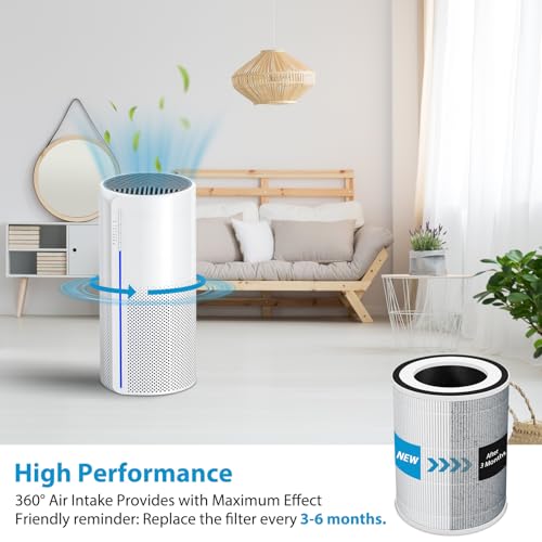 Image of True HEPA Kilo Filter Replacement Compatible with Afloia Kilo, KILOPLUS, KILOPRO, MIRO, MIRO PRO and MORENTO MR-Kilo, Kalo, 2 Pack