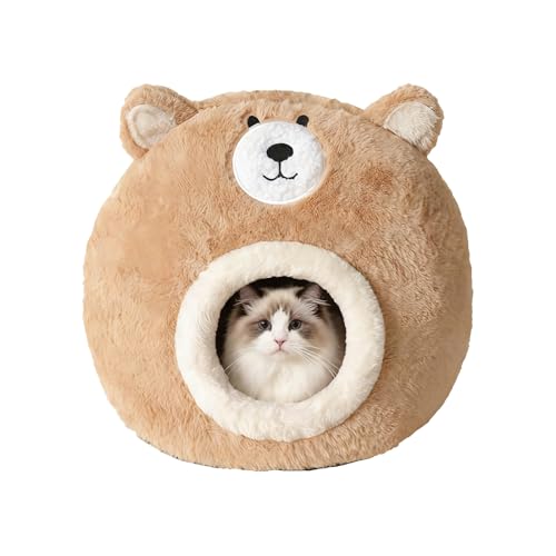 L̉B | 킢 \tg  eg^ 􂦂,qLp xbh P[u  ybg nEX,qL qp XNb`  Op ~ ƒ  V xp