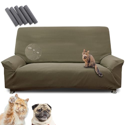 bN \t@[Jo[ L΍ 3l|p It nCobN uE St Œ_   h |炭炭 тɂ ΍ Xgb`f