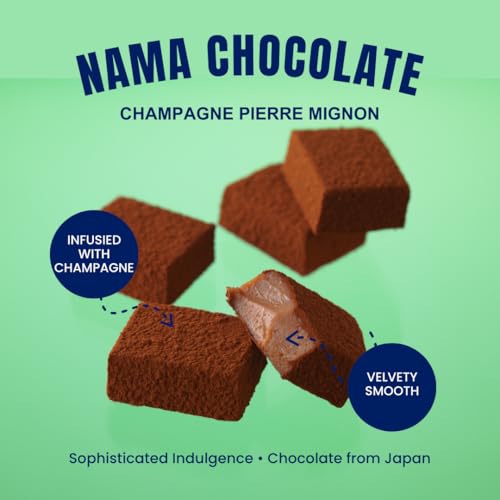 ROYCE'（ロイズ）『生チョコレートシャンパンピエールミニョン』