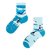 TODO Colours Penguin Socks Kids - Penguins Kids - Motif, Colourful, Funny Animal Socks for Girls, Boys, Toddlers - Blue - 12-13.5