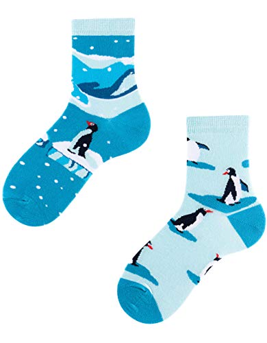 TODO Colours Pingouin Chaussettes pour enfants – Motif pingouins Kids – Chaussettes colorées amusantes pour filles, garçons, tout-petits, Penguins Kids, 23/26