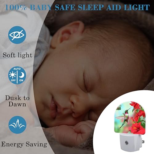 Image of Hummingbird on Lossoming Red Flower Night Light Plug into Wall with Dusk to Dawn Sensor Cute Nightlight for Kid Girls Boys Women Men Room Decor, Hallway, Kitchen, Bathroom, Nursery, Stairs
