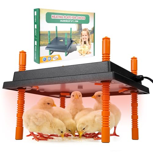 Plaque Chauffante Poussins 25x30cm Réglable en Hauteur 25W Économique – Éleveuse Électrique, Plus Économe qu’une Lampe Chauffante Poussins, Chaleur Douce Type Poule pour Poussins Canetons Cailles