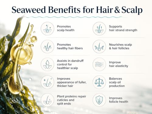 Image of Leave-In Conditioner, 8.5 fl. Oz /250ml - Seaweed, Kelp & Algae Enriched Detangle & Shine Hair Treatment -Ideal For Frizzy and All Hair Type , Protects Scalp