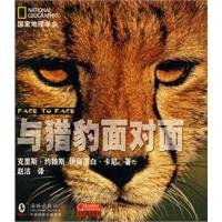 Paperback face to face with the cheetah (paperback) [Chinese] Book