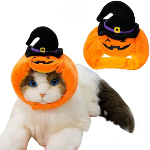 nEB ybgXq {`̖Xq ڂ   Lp p 킢 ybgp RXv J{` Halloween \ RX`[ 蕨  ^ p[eB[ ʐ^Be