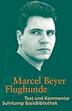  Flughunde (Suhrkamp BasisBibliothek)