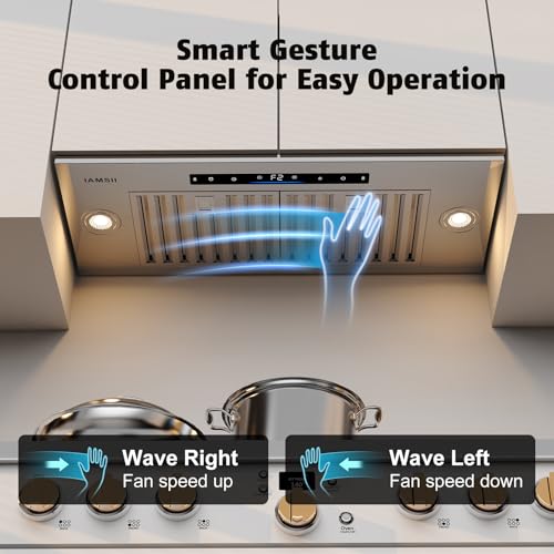 Range Hood Insert 30 inch,Built-in Kitchen Hood with 900 CFM, Ducted/Ductless Convertible Kitchen Vent Hood,Stainless Steel Stove Hood with 4 Speed Gesture Sensing&Touch Control Panel
