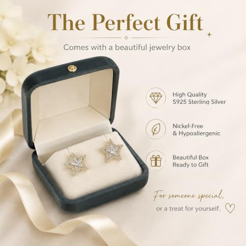 HEFEIYU Star Earrings, 14K Gold Plated Cubic Zirconia Gold Star Stud earrings, Hypoallergenic Posts, Timeless Fashion Wedding earrings Jewelry Gift for Ladies (Star) - image 5