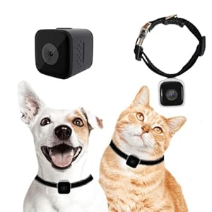 KinetCam Cat Camera Collar, No WiFi Needed No APP,Cat Collar Camera with Video Record, Body Camera for Cat/Dog Recording,Camera for Cat Collar,Pet Collar Camera Outdoor, Dog/Cat Birthday Gift