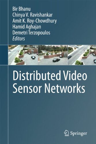 Distributed Video Sensor Networks view 2