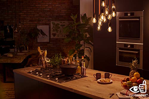 Philips Lampadina LED T65 in Vetro Filamento Smoky...