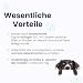 FLEXADIN Advanced® Hund | Für die Gelenkgesundheit | Undenaturiertes Kollagen Typ II & Boswellia – 60 Gelenkleckerli
