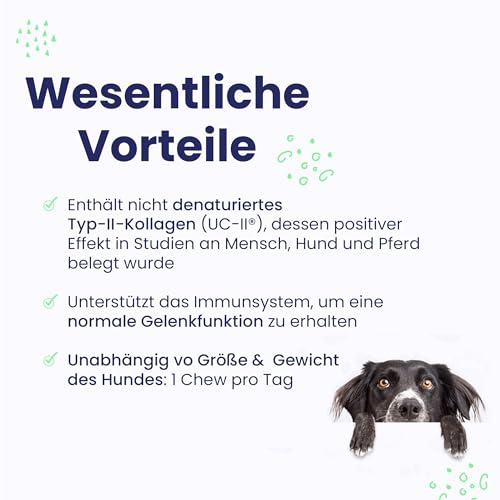 Vetoquinol Flexadin Advanced für Hunde | Doppelpack | 2 x 60 Chews | Ergänzungsfuttermittel zur Unterstützung der Gelenkgesundheit | Mit immunaktivem Kollagen, Omega-3 & Vitamin E