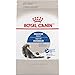 Royal Canin Indoor Adult Dry Cat Food, 7 lb bag