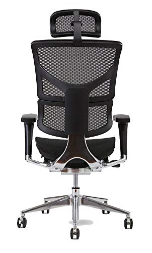 X-Chair X2 Management Task Chair, Black K-Sport Mesh Fabric With Headrest - Ergonomic Office Seat/Dynamic Variable Lumbar Support/Floating Recline/Highly Adjustable/Perfect For Long Work Days #TOP2