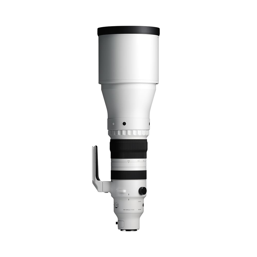 Sigma 300-600mm f/4 DG OS Sports Lens for L-Mount Mirror-Less Cameras