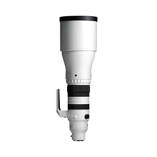Sigma 300-600mm f/4 DG OS Sports Lens for L-Mount Mirror-Less Cameras