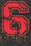 notebook 6x9 and 120 lined paper: baseball softball lover six years bday 6th birthday boy baby kid children: notebook