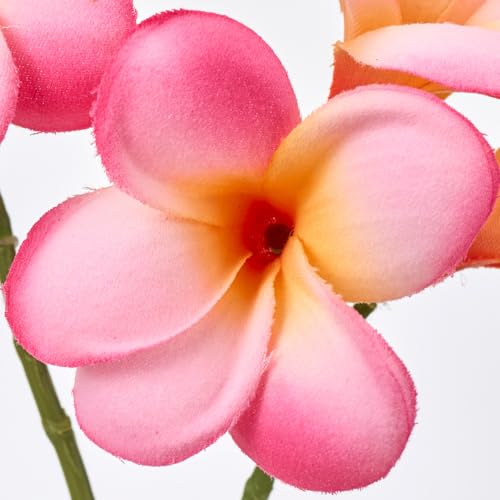 東京堂(Tokyodo) 造花 アマンダプルメリア #052ホットピンク 花径7×L26×W15cm 1入 FM001613-052 [2]