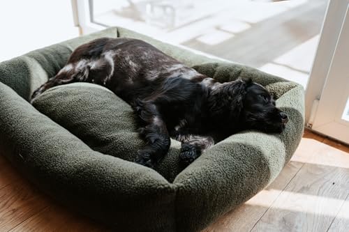 HUNTER Hundesofa KUMARA, Farbe: Khaki, kuschelig weicher Teddyplüsch, Rutschhemmende Unterseite, wendbares Innenkissen, trendig, großzügige Füllung, Bezug maschinenwaschbar, Größe: 80 x 60 cm