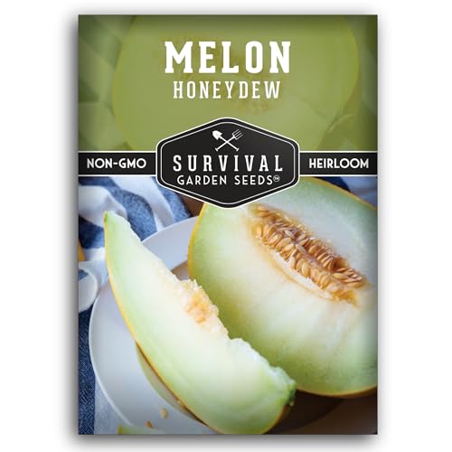 Honeydew Melon Seeds for Planting – Heirloom Sweet Melon with Light Green Flesh, Smooth Rind & Refreshing Flavor – Heat Tolerant Non-GMO Variety – Survival Garden Seeds (1 Pack)