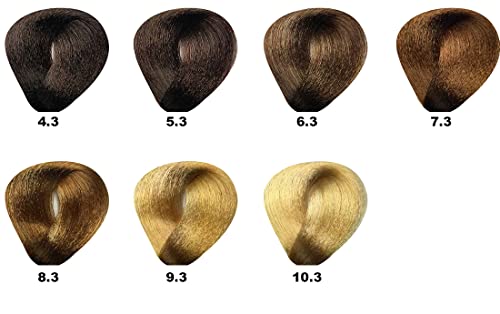 BES HI-FI Cream Hair Color Goldens 9.3 Very Light Golden Blond miniatura 2