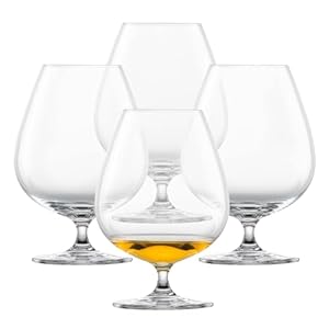Schott Zwiesel Bar Special Cognacgläser XXL (4er-Set)