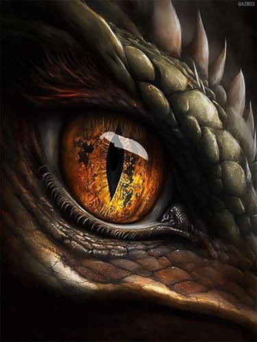 Kit de peinture diamant pour adultes complet 5D yeux de dragon 30x40