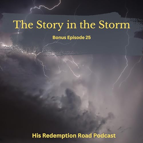 『Bonus: The Story in the Storm』のカバーアート