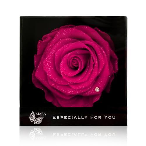 IPFA �v���U�[�u�h�t�����[ �G�X�y�V�����[�{�b�N�X(7�����r�[/���r�[���b�h)�a���� �v���[���g �M�t�g �a���� �� �o�� �K�N ��։� �����j�� �ސE�j�� ����